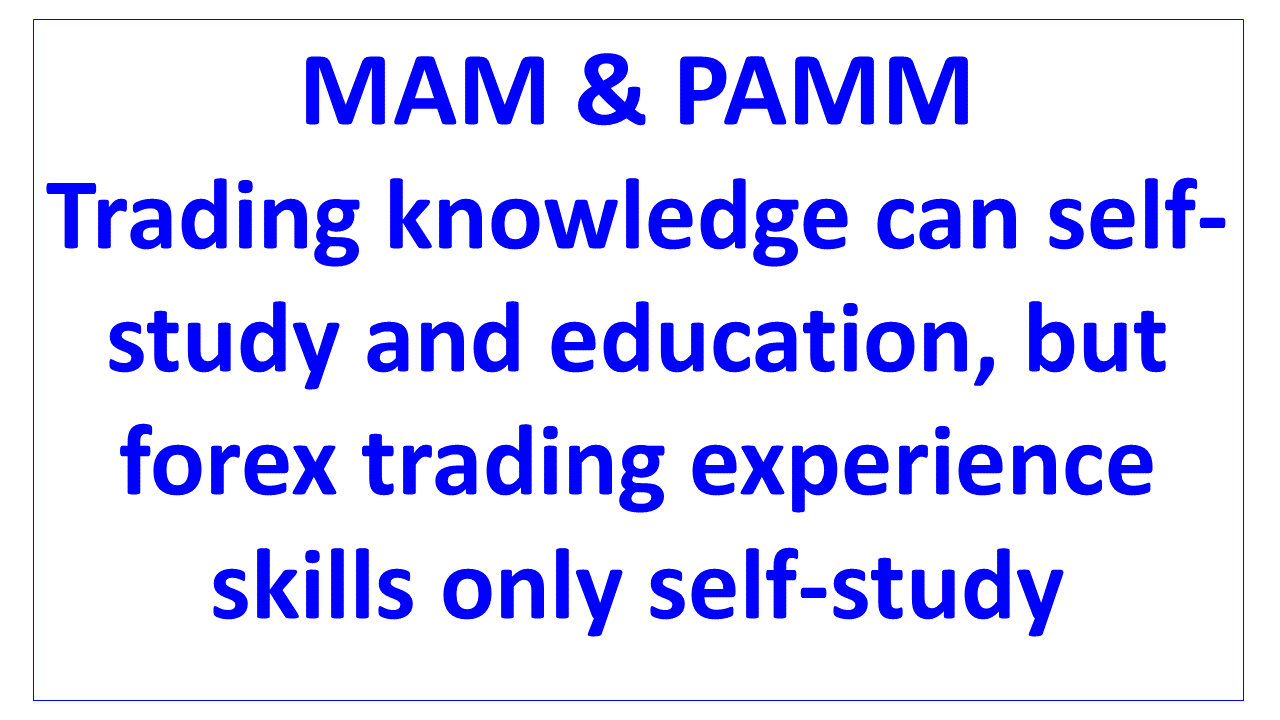 forex trading experience skills only self study en